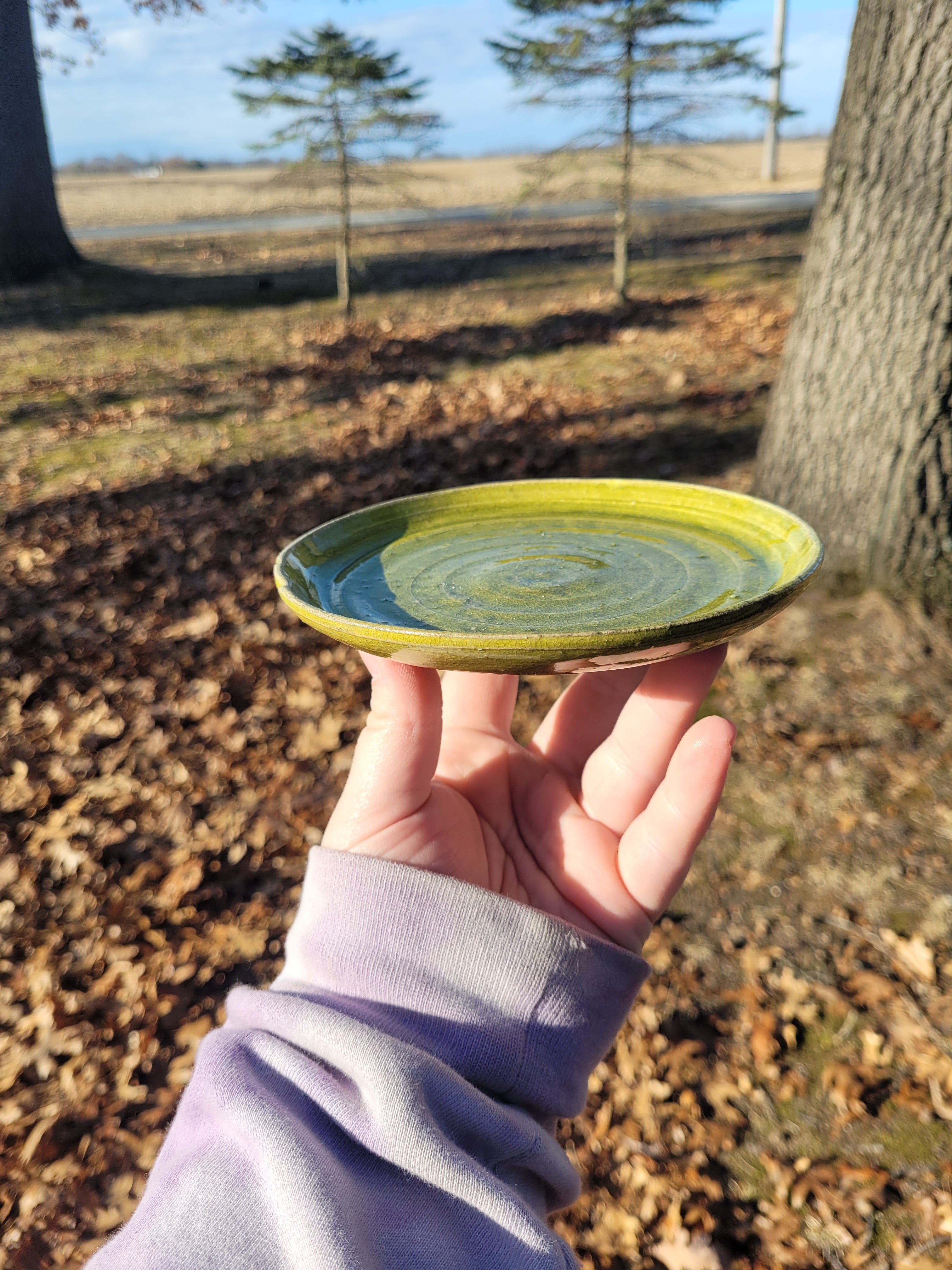 Green Plate