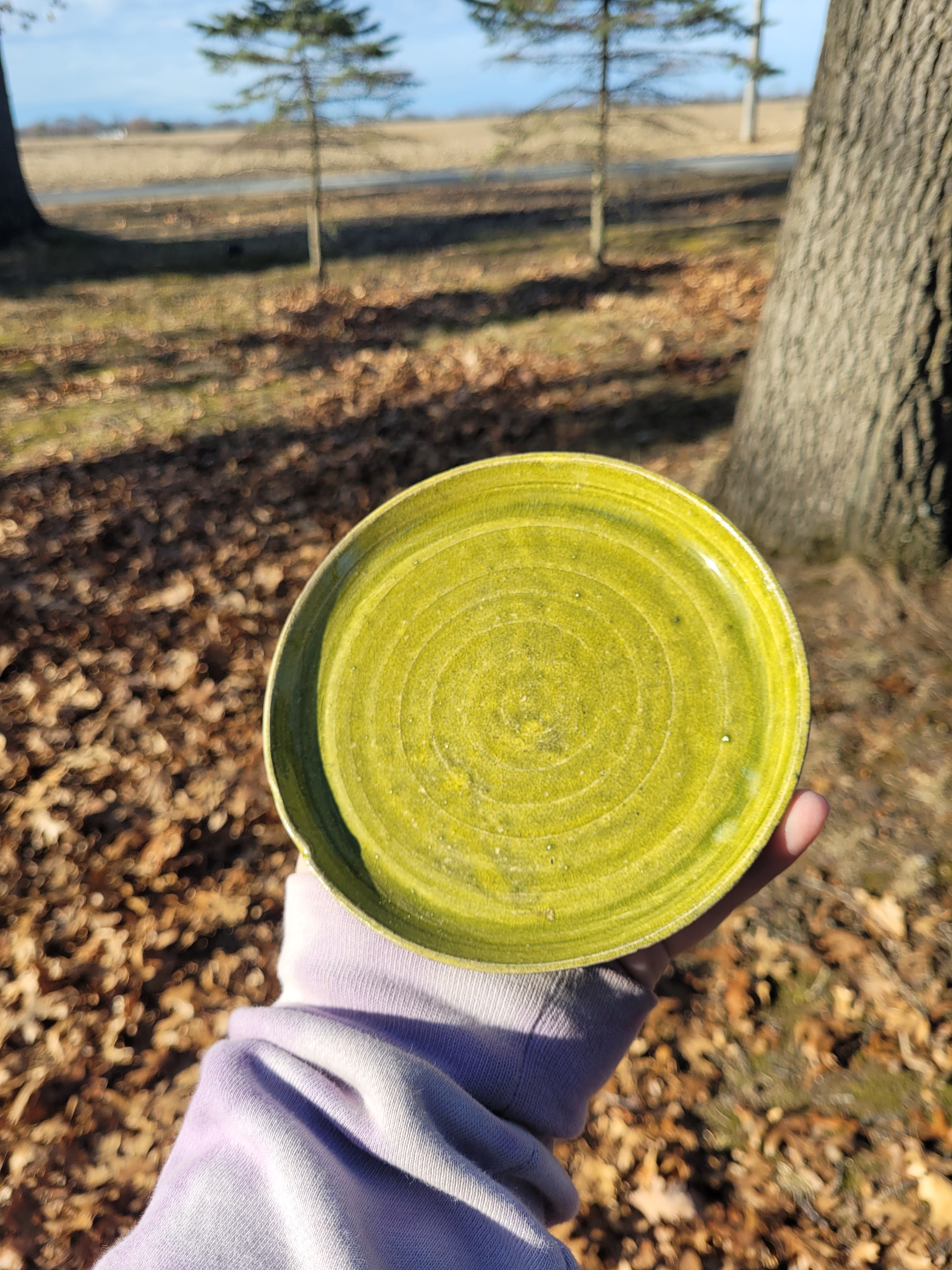 Green Plate