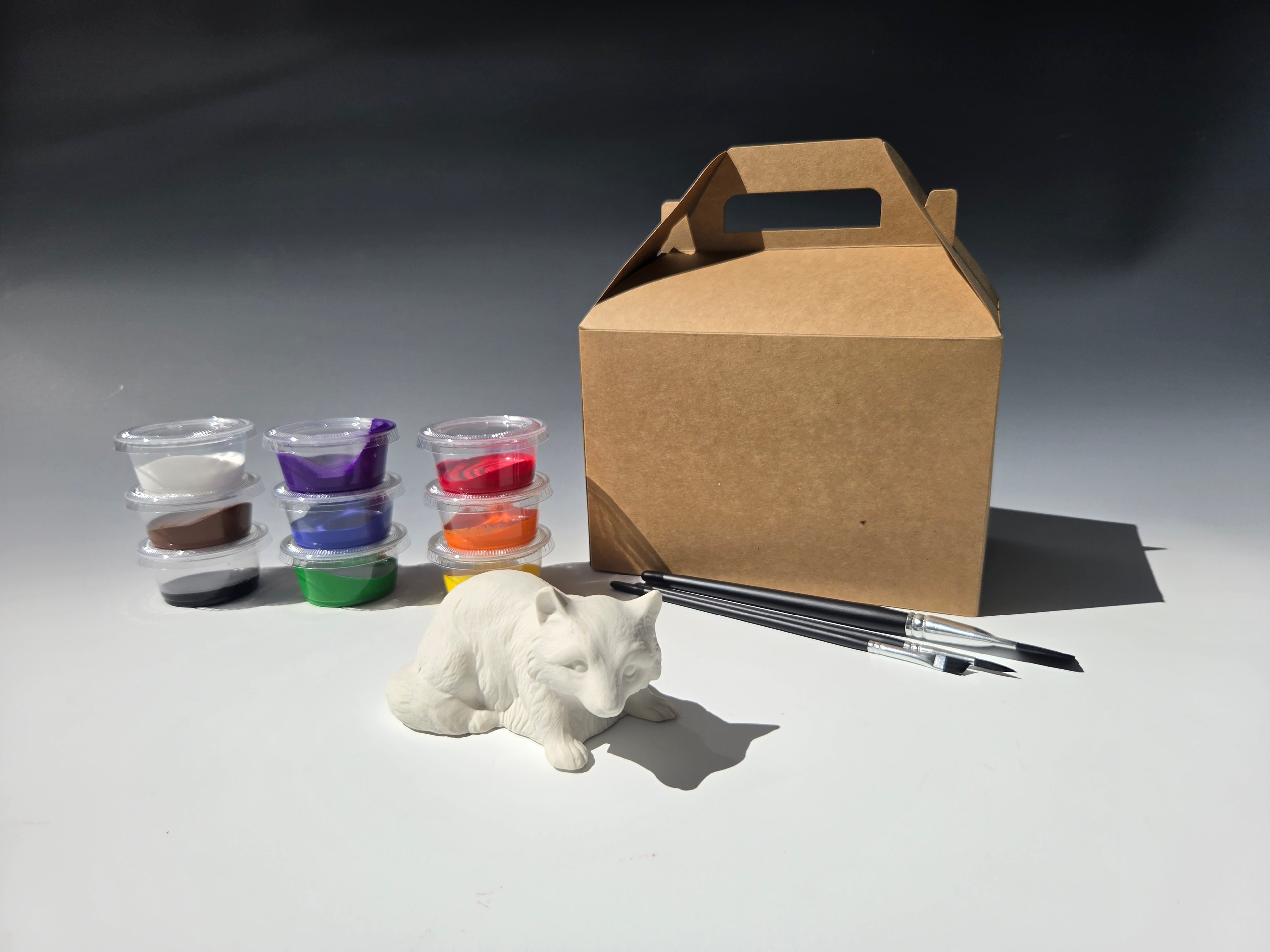 Raccoon Kit