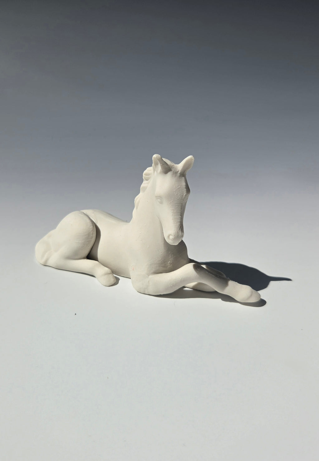 Foal Kit