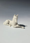 Foal Kit