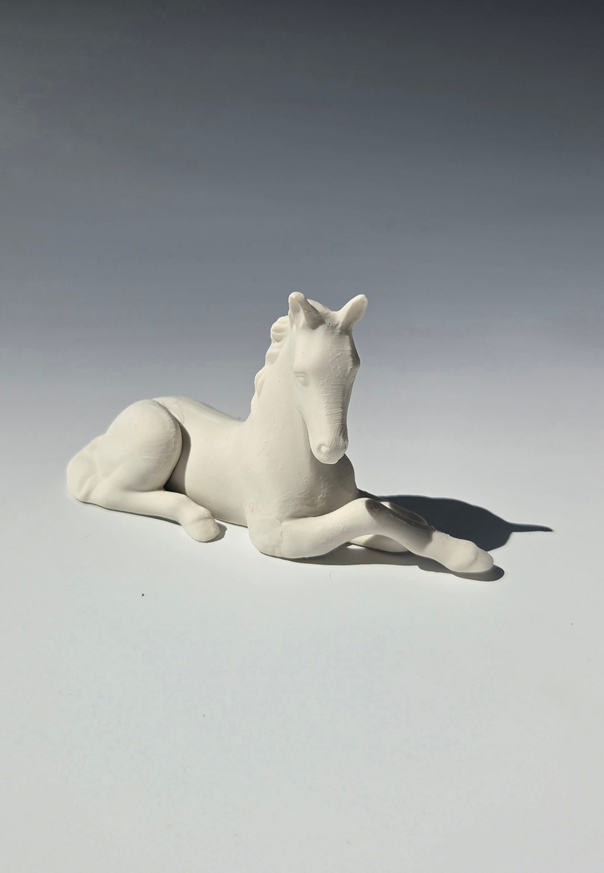 Foal Kit