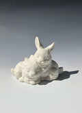 Bunnies Kit