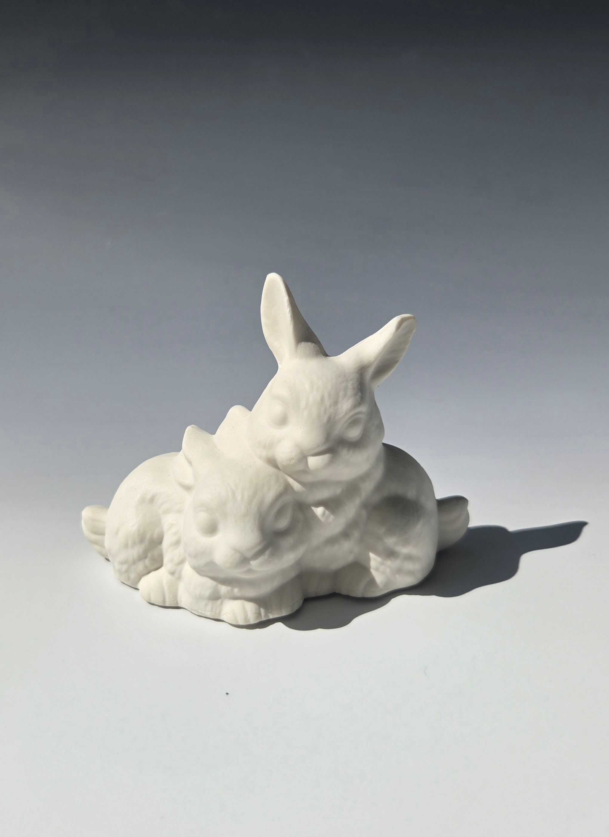 Bunnies Kit