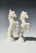 Horses Kit