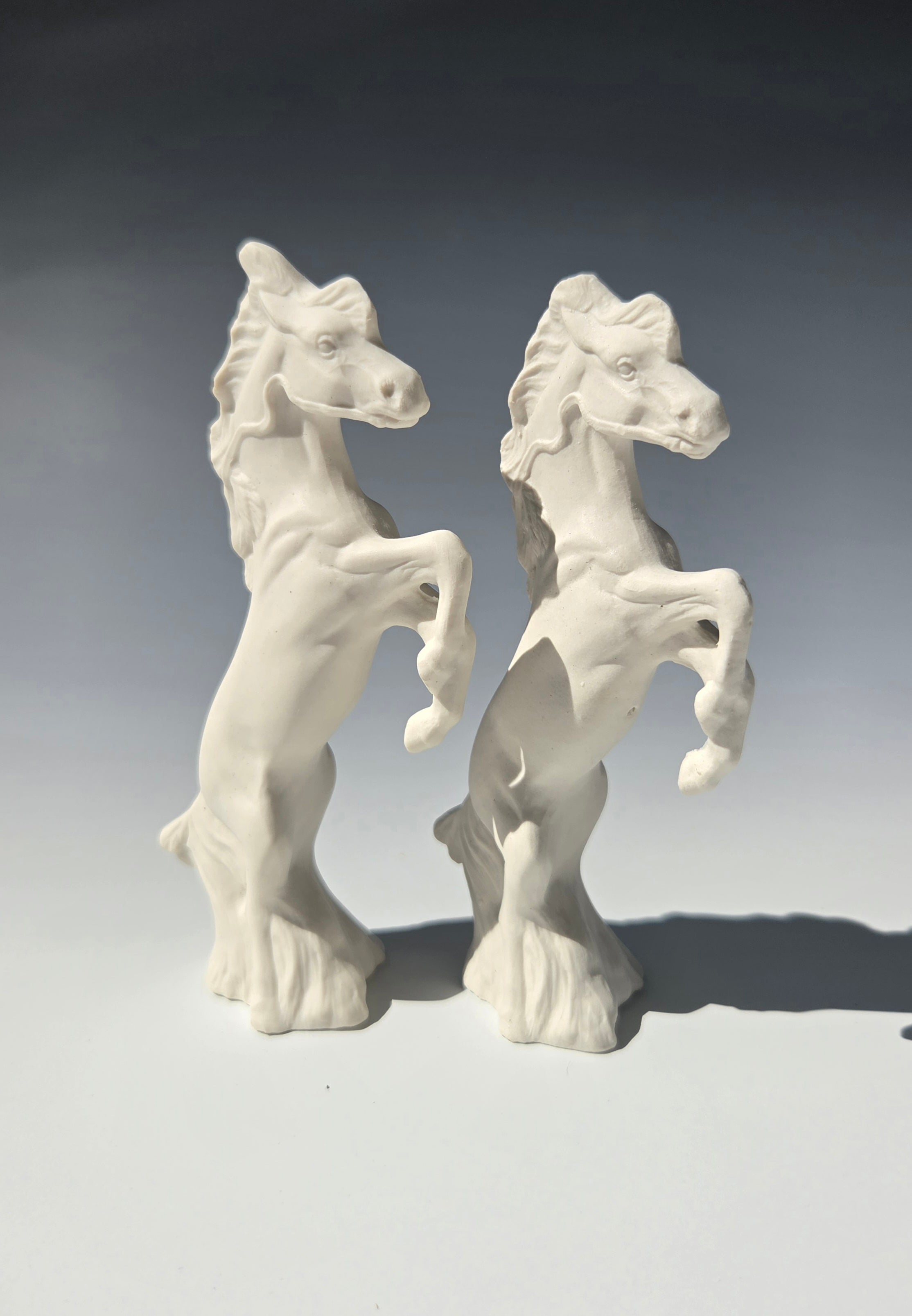 Horses Kit